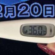 ヒメ日記 2024/12/20 08:19 投稿 加保(ひまわりの約束) おふくろさん 名古屋本店