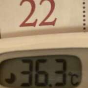 ヒメ日記 2024/12/22 08:18 投稿 加保(ひまわりの約束) おふくろさん 名古屋本店