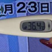 ヒメ日記 2024/12/23 08:59 投稿 加保(ひまわりの約束) おふくろさん 名古屋本店