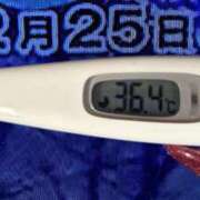 ヒメ日記 2024/12/25 08:29 投稿 加保(ひまわりの約束) おふくろさん 名古屋本店