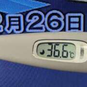 ヒメ日記 2024/12/26 08:57 投稿 加保(ひまわりの約束) おふくろさん 名古屋本店