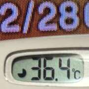 ヒメ日記 2024/12/28 08:40 投稿 加保(ひまわりの約束) おふくろさん 名古屋本店