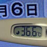 ヒメ日記 2025/01/06 08:29 投稿 加保(ひまわりの約束) おふくろさん 名古屋本店