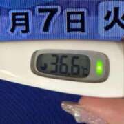 ヒメ日記 2025/01/07 08:32 投稿 加保(ひまわりの約束) おふくろさん 名古屋本店