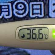 ヒメ日記 2025/01/09 08:13 投稿 加保(ひまわりの約束) おふくろさん 名古屋本店