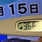 ヒメ日記 2025/01/15 08:39 投稿 加保(ひまわりの約束) おふくろさん 名古屋本店