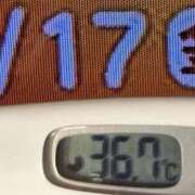 ヒメ日記 2025/01/17 08:04 投稿 加保(ひまわりの約束) おふくろさん 名古屋本店