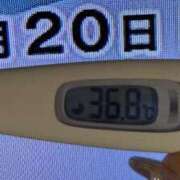 ヒメ日記 2025/01/20 08:24 投稿 加保(ひまわりの約束) おふくろさん 名古屋本店