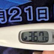 ヒメ日記 2025/01/21 08:50 投稿 加保(ひまわりの約束) おふくろさん 名古屋本店