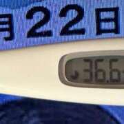 ヒメ日記 2025/01/22 09:09 投稿 加保(ひまわりの約束) おふくろさん 名古屋本店