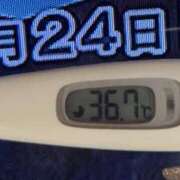 ヒメ日記 2025/01/24 08:15 投稿 加保(ひまわりの約束) おふくろさん 名古屋本店