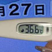 ヒメ日記 2025/01/27 09:18 投稿 加保(ひまわりの約束) おふくろさん 名古屋本店