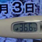 ヒメ日記 2025/02/03 08:43 投稿 加保(ひまわりの約束) おふくろさん 名古屋本店