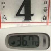 ヒメ日記 2025/02/04 14:23 投稿 加保(ひまわりの約束) おふくろさん 名古屋本店