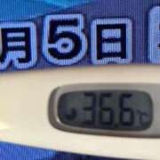 ヒメ日記 2025/02/05 08:12 投稿 加保(ひまわりの約束) おふくろさん 名古屋本店