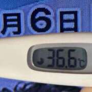 ヒメ日記 2025/02/06 08:28 投稿 加保(ひまわりの約束) おふくろさん 名古屋本店