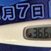 ヒメ日記 2025/02/07 08:13 投稿 加保(ひまわりの約束) おふくろさん 名古屋本店