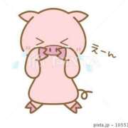 ヒメ日記 2025/02/08 08:03 投稿 加保(ひまわりの約束) おふくろさん 名古屋本店