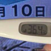 ヒメ日記 2025/02/10 08:36 投稿 加保(ひまわりの約束) おふくろさん 名古屋本店