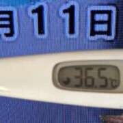 ヒメ日記 2025/02/11 08:35 投稿 加保(ひまわりの約束) おふくろさん 名古屋本店