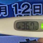 ヒメ日記 2025/02/12 09:39 投稿 加保(ひまわりの約束) おふくろさん 名古屋本店