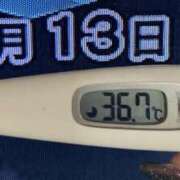 ヒメ日記 2025/02/13 08:22 投稿 加保(ひまわりの約束) おふくろさん 名古屋本店
