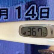 ヒメ日記 2025/02/14 08:19 投稿 加保(ひまわりの約束) おふくろさん 名古屋本店