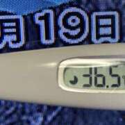 ヒメ日記 2025/02/19 08:27 投稿 加保(ひまわりの約束) おふくろさん 名古屋本店