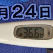ヒメ日記 2025/02/24 08:14 投稿 加保(ひまわりの約束) おふくろさん 名古屋本店