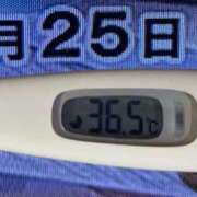 ヒメ日記 2025/02/25 08:24 投稿 加保(ひまわりの約束) おふくろさん 名古屋本店