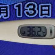 ヒメ日記 2025/03/13 08:43 投稿 加保(ひまわりの約束) おふくろさん 名古屋本店