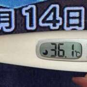 ヒメ日記 2025/03/14 08:16 投稿 加保(ひまわりの約束) おふくろさん 名古屋本店