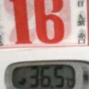 ヒメ日記 2025/03/16 08:22 投稿 加保(ひまわりの約束) おふくろさん 名古屋本店