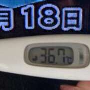 ヒメ日記 2025/03/18 08:42 投稿 加保(ひまわりの約束) おふくろさん 名古屋本店