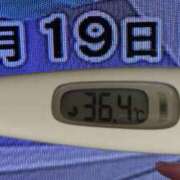 ヒメ日記 2025/03/19 08:43 投稿 加保(ひまわりの約束) おふくろさん 名古屋本店