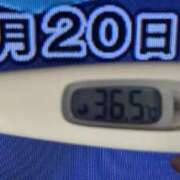 ヒメ日記 2025/03/20 08:30 投稿 加保(ひまわりの約束) おふくろさん 名古屋本店