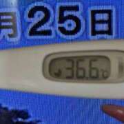 ヒメ日記 2025/03/25 09:36 投稿 加保(ひまわりの約束) おふくろさん 名古屋本店