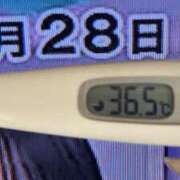 ヒメ日記 2025/03/28 09:32 投稿 加保(ひまわりの約束) おふくろさん 名古屋本店