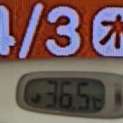 ヒメ日記 2025/04/03 08:12 投稿 加保(ひまわりの約束) おふくろさん 名古屋本店