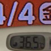 ヒメ日記 2025/04/04 07:55 投稿 加保(ひまわりの約束) おふくろさん 名古屋本店