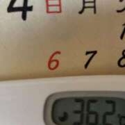 ヒメ日記 2025/04/07 08:31 投稿 加保(ひまわりの約束) おふくろさん 名古屋本店