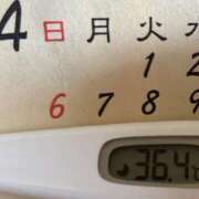 ヒメ日記 2025/04/08 10:46 投稿 加保(ひまわりの約束) おふくろさん 名古屋本店