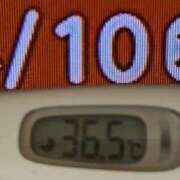 ヒメ日記 2025/04/10 08:16 投稿 加保(ひまわりの約束) おふくろさん 名古屋本店