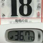 ヒメ日記 2025/04/18 13:08 投稿 加保(ひまわりの約束) おふくろさん 名古屋本店