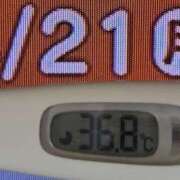 ヒメ日記 2025/04/21 08:26 投稿 加保(ひまわりの約束) おふくろさん 名古屋本店