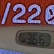 ヒメ日記 2025/04/22 07:57 投稿 加保(ひまわりの約束) おふくろさん 名古屋本店