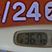 ヒメ日記 2025/04/24 08:23 投稿 加保(ひまわりの約束) おふくろさん 名古屋本店