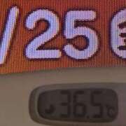 ヒメ日記 2025/04/25 08:38 投稿 加保(ひまわりの約束) おふくろさん 名古屋本店