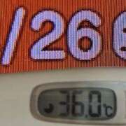 ヒメ日記 2025/04/26 09:26 投稿 加保(ひまわりの約束) おふくろさん 名古屋本店