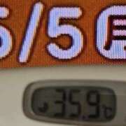 ヒメ日記 2025/05/05 08:23 投稿 加保(ひまわりの約束) おふくろさん 名古屋本店